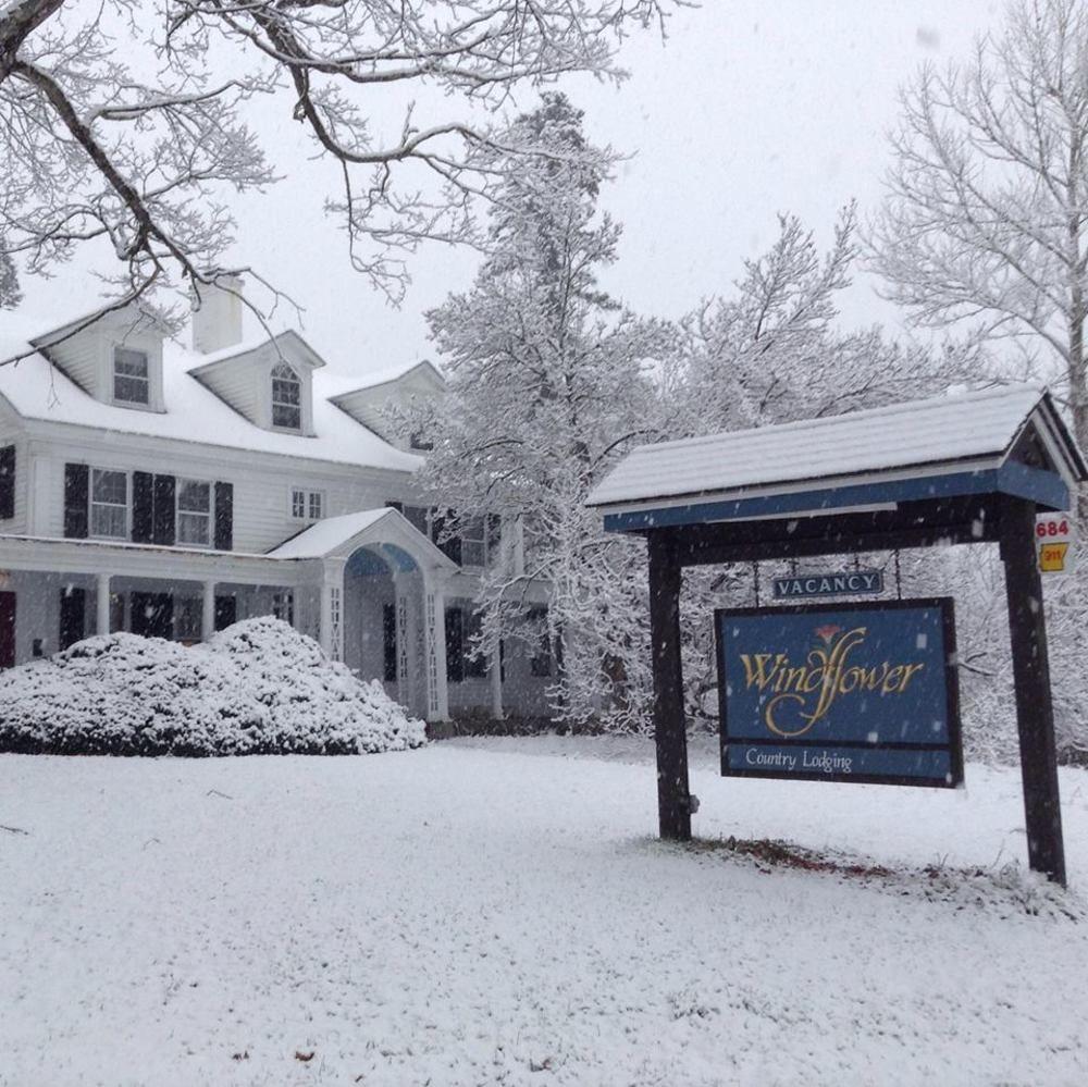 Windflower Inn Great Barrington Ngoại thất bức ảnh